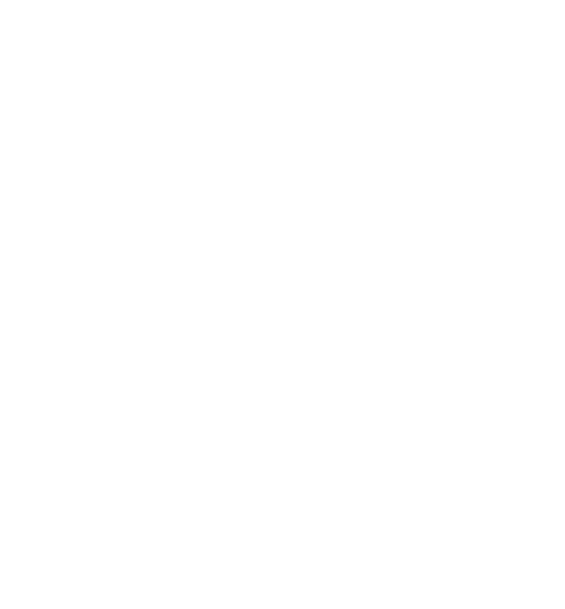 CIDN